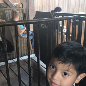 Meet your Posher, Patricia